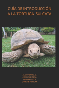 Guía de Introducción a la Tortuga de Espolones Africana O Sulcata