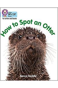 Be an Otter Expert