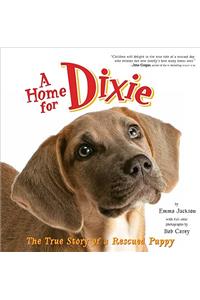 A Home For Dixie