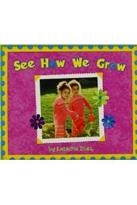 Reading 2007 Little Big Book Grade K.08: See How We Grow
