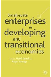 Small Scale Enterprises in Developing and Transitional Economies