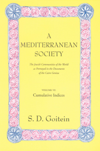 Mediterranean Society, Volume VI