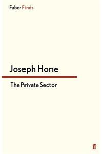 Private Sector