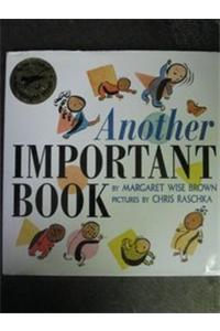 Another Important Book