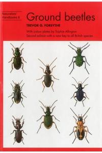 Ground beetles