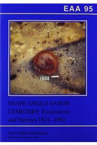 EAA 95: Snape Anglo-Saxon Cemetery