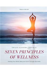 Seven Principles of Wellness