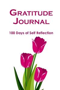 Gratitude Journal 100 Days Of Self Reflection