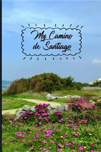 My Camino de Santiago