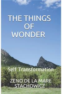Things of Wonder