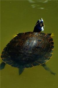 Turtle Tortuga Lined Journal for daily thoughts notebook Lovely Lake Arrowhead Photograph