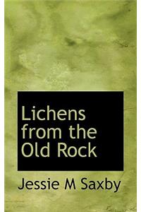 Lichens from the Old Rock