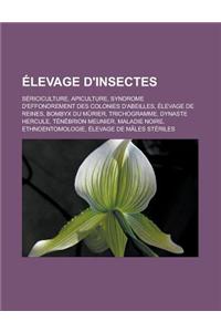 Elevage D'Insectes
