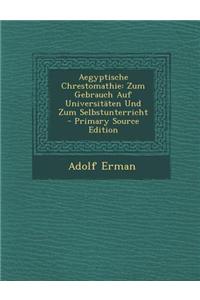 Aegyptische Chrestomathie: Zum Gebrauch Auf Universitaten Und Zum Selbstunterricht - Primary Source Edition
