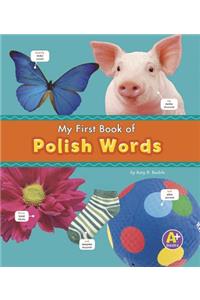 Polish Words