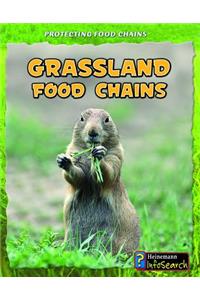 Grassland Food Chains