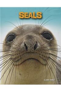 Seals