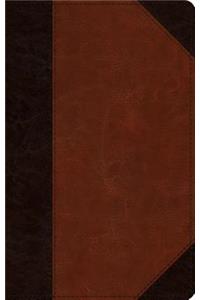 ESV Single Column Thinline Bible
