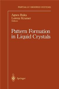 Pattern Formation in Liquid Crystals