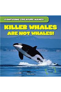 Killer Whales Are Not Whales!