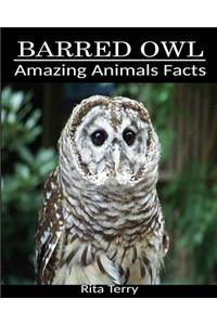 Barred Owl