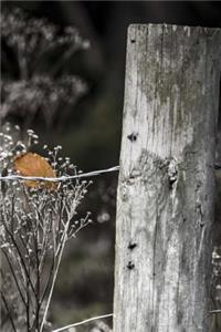 Autumn Leaf Journal