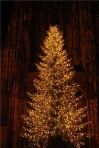 Beautiful Christmas Tree Sparkling with Clear Lights at Night Journal
