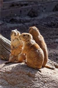 A Trio of Prairie Dogs Hanging Out Journal
