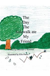 The Day the Sidewalk ate my Friend