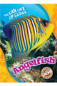 Angelfish