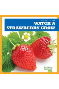 Watch a Strawberry Grow