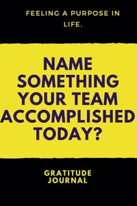 Name Something your Team Accomplished Today