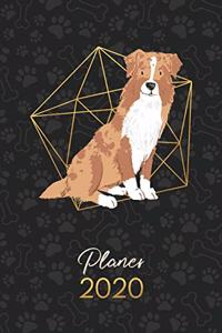 Planer 2020