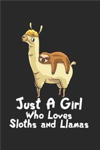 Faultier reitet auf Lama Notizbuch