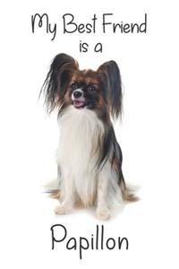 My best Friend is a Papillon