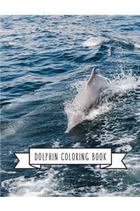 Dolphin Coloring Book