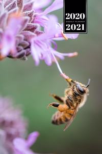 Bee Insects Beekeeping Beekeeper Week Planner Weekly Organizer Calendar 2020 / 2021 - Sipping Nectar