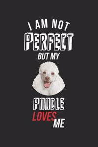 I'm not perfect, but my Poodle loves me