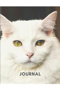 Journal