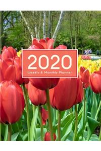 2020 Planner Weekly & Monthly 8.5x11 Inch