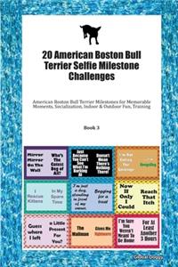 20 American Boston Bull Terrier Selfie Milestone Challenges