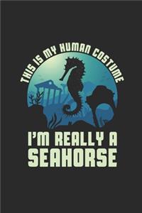 I'm Really A Seahorse