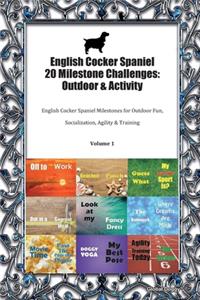 English Cocker Spaniel 20 Milestone Challenges