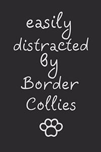 Easily distracted by Border Collies