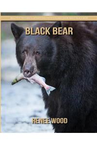 Black Bear