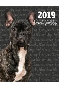 2019 French Bulldog