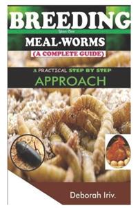 BREEDING Your Own MEAL-WORMS (A COMPLETE GUIDE)