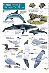 Coastal wildlife of the North York Moors