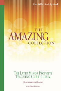 Amazing Collection the Later Minor Prophets Teaching Curriculum