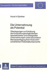 Die Unternehmung als Potential